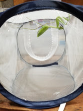 Load image into Gallery viewer, 8.5in (21.6cm) mesh enclosure